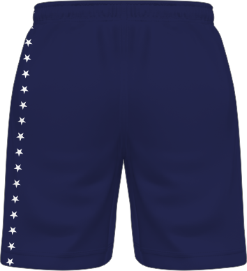 ALTERNATE SHORTS 2 BACK